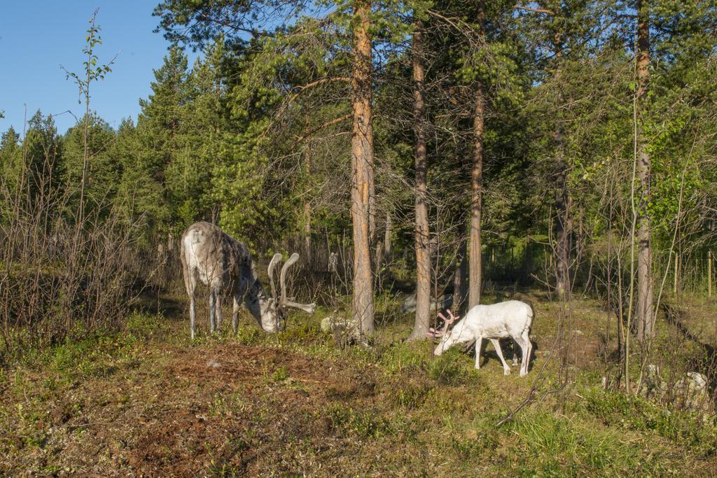 Ongajoksetra Hotel Mathisdalen Zewnętrze zdjęcie